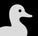 Grey Duck Labs 3D - Home