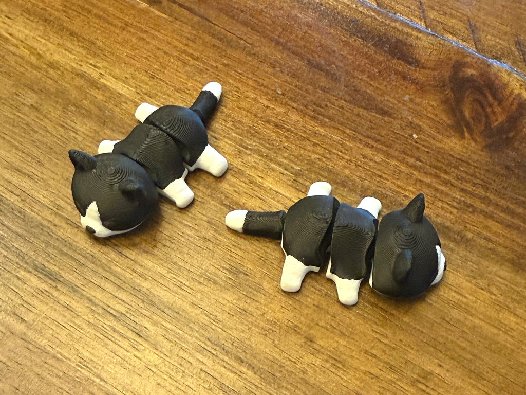 Two flexi tuxedo cats on a table showing the articulated body segments