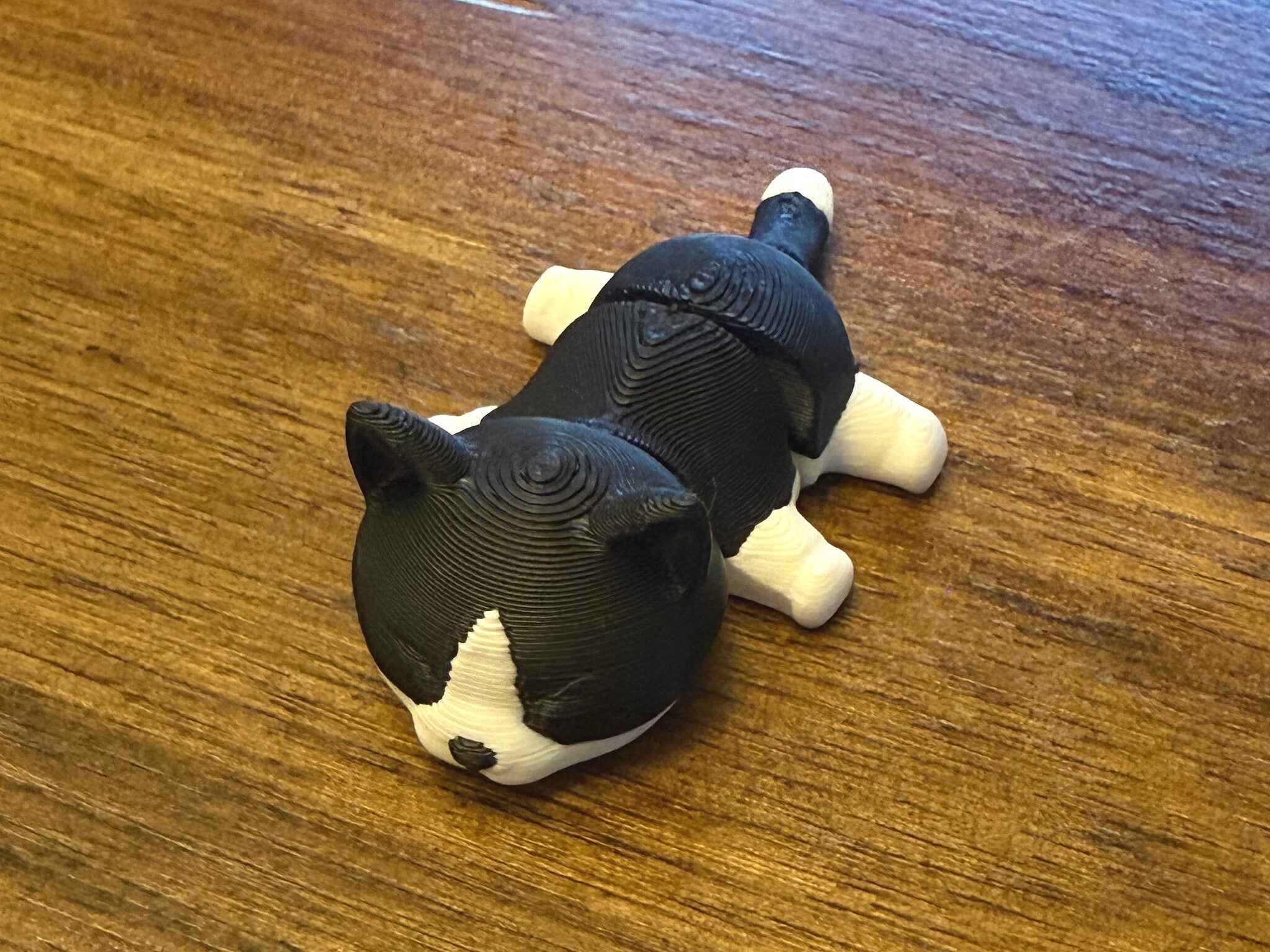 Close-up of a single Mini Flexi Cat from the rear three-quarter angle showing the white tail tip
