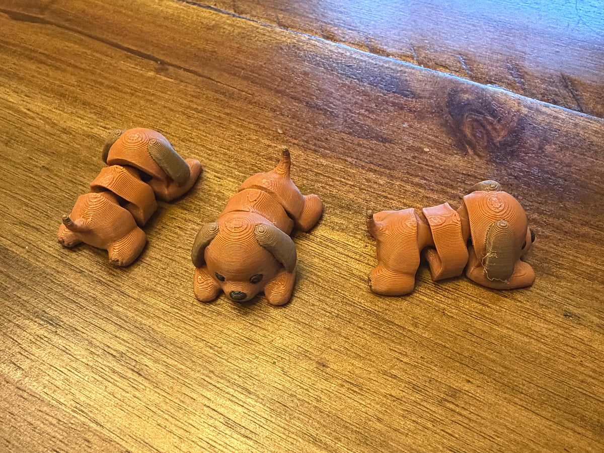 Three flexi puppies on a table shown from the front, back, and side